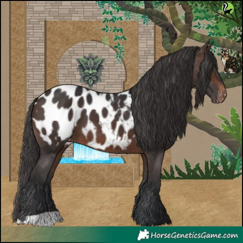 Horse Color:Brown Blanket 
