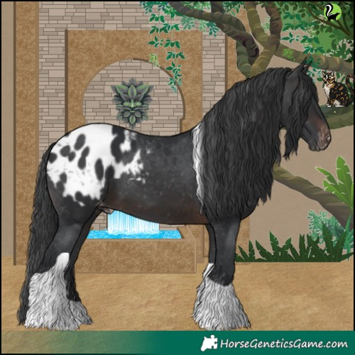 Horse Color:Brown Tobiano Blanket 