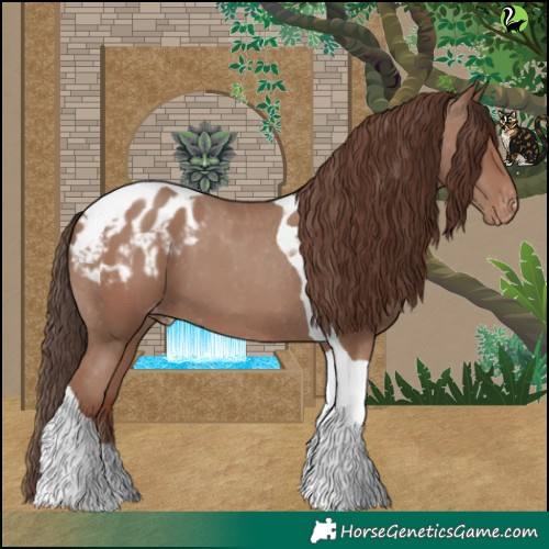 Horse Color:Classic Champagne Tobiano Blanket 