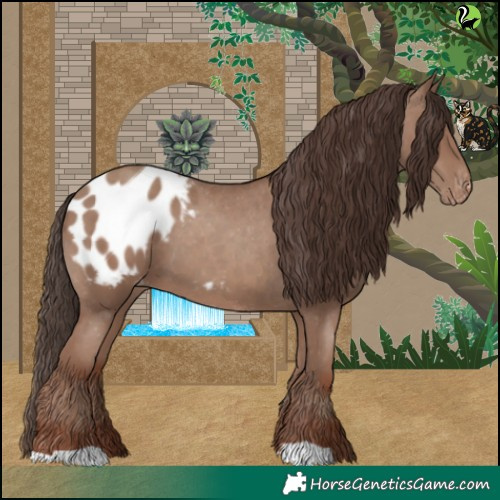 Horse Color:Classic Champagne Appaloosa 