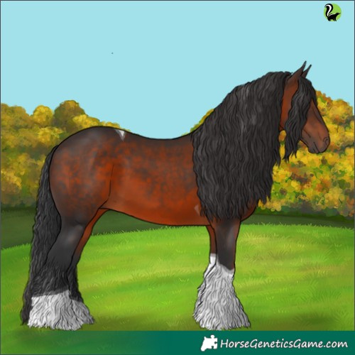 Horse Color:Brown Tobiano 