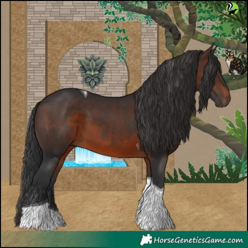 Horse Color:Brown Tobiano 