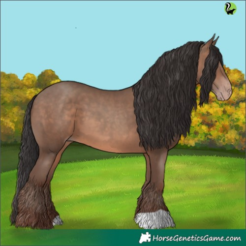 Horse Color:Sable Champagne