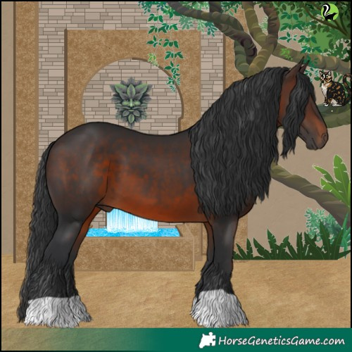 Horse Color:Brown 