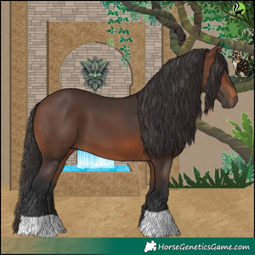 Horse Color:Brown 