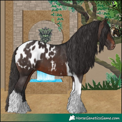 Horse Color:Brown Tobiano Blanket 