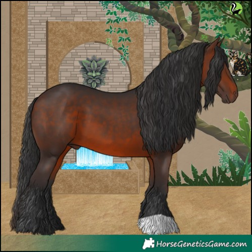 Horse Color:Brown 