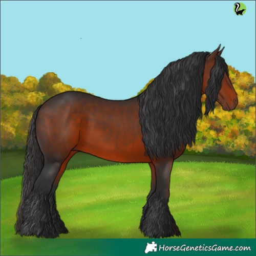 Horse Color:Brown 