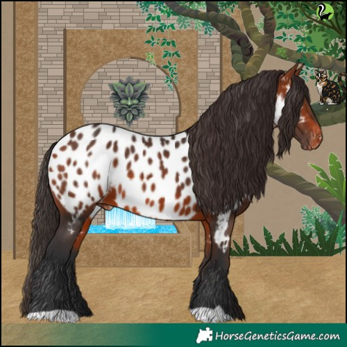 Horse Color:Bay Blanket 