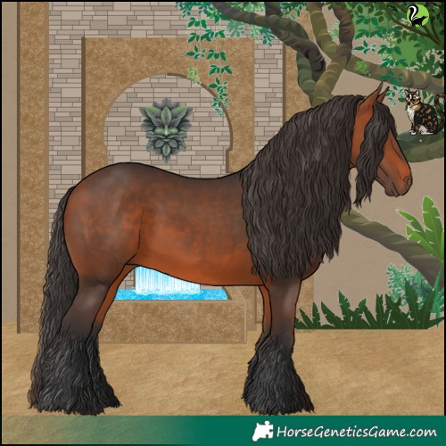 Horse Color:Bay 