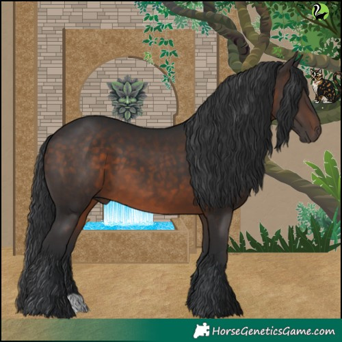 Horse Color:Brown 