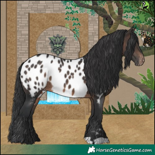 Horse Color:Brown Blanket 