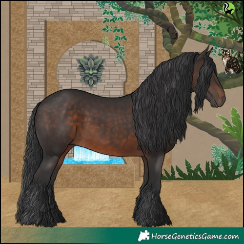 Horse Color:Brown 