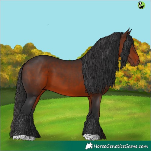 Horse Color:Brown 