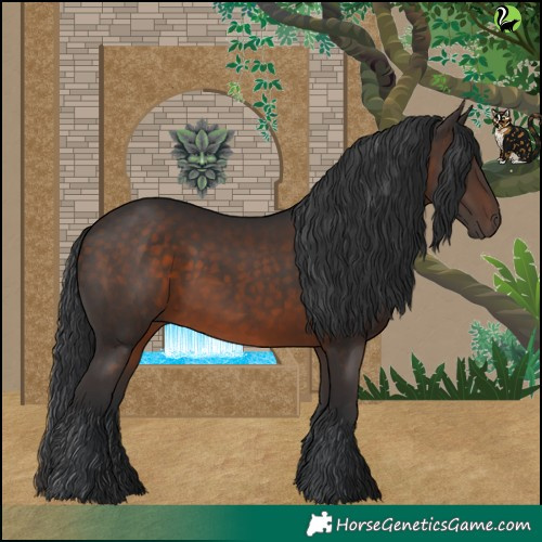 Horse Color:Brown 