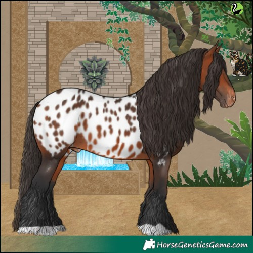 Horse Color:Bay Blanket 