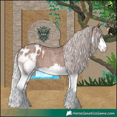 Horse Color:Silver Blue Roan Splash Appaloosa 