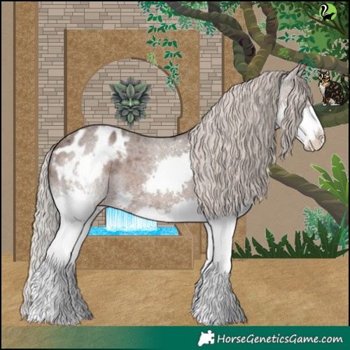 Horse Color:Silver Blue Roan Splash Appaloosa 