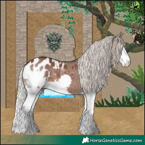 Horse Color:Silver Black Splash Appaloosa 
