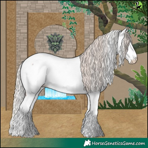 Horse Color:Silver Blue Roan Splash Appaloosa 