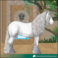 Horse Color:Silver Blue Roan Splash Near Fewspot 