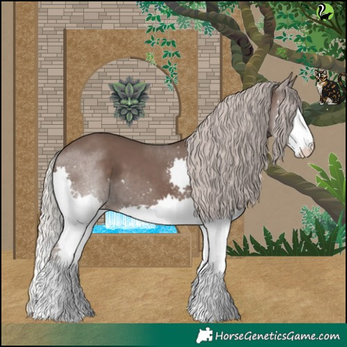 Horse Color:Silver Black Splash 