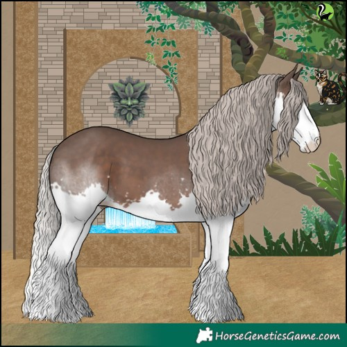 Horse Color:Silver Black Splash 