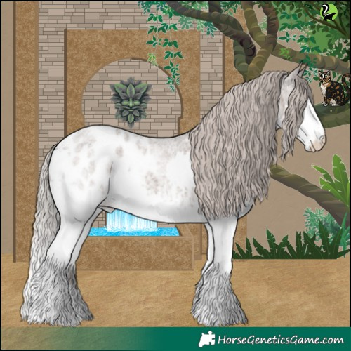 Horse Color:Silver Blue Roan Splash Appaloosa 