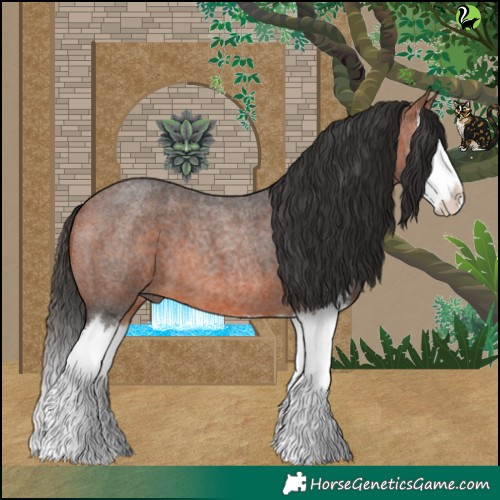 Horse Color:Bay Roan Splash 