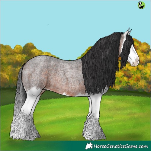 Horse Color:Brown Roan Splash