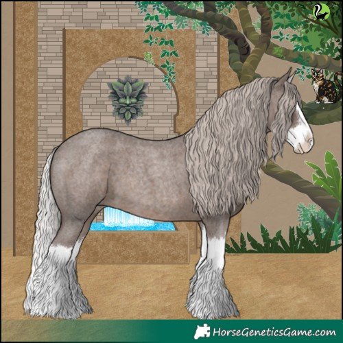Horse Color:Silver Blue Roan Splash 