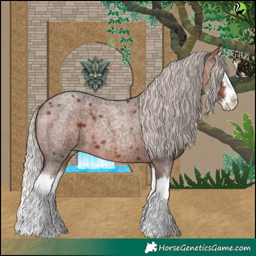 Horse Color:Silver Brown Roan Splash 
