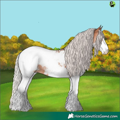 Horse Color:Silver Bay Splash Appaloosa 