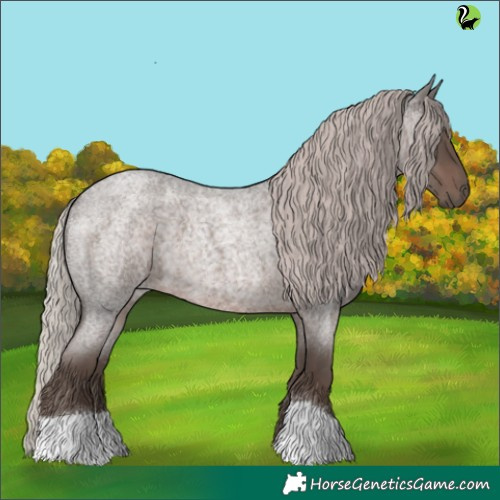 Horse Color:Silver Blue Roan
