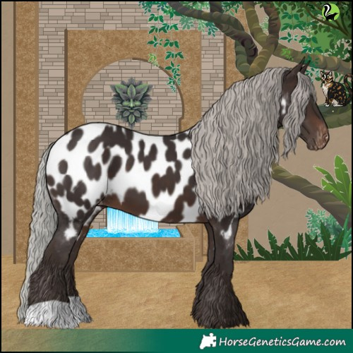 Horse Color:Silver Brown Appaloosa 