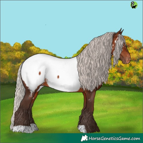 Horse Color:Silver Brown Appaloosa 