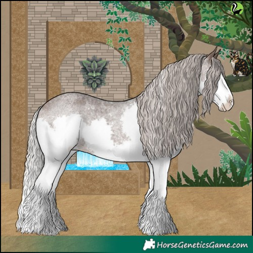 Horse Color:Silver Brown Roan Splash 