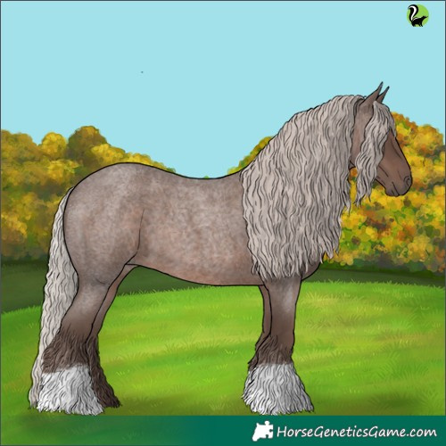Horse Color:Silver Blue Roan