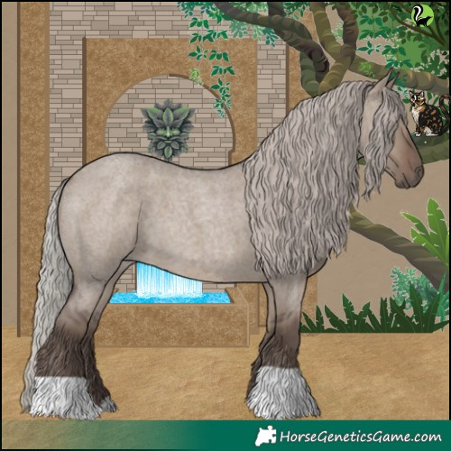 Horse Color:Silver Grullo Roan 