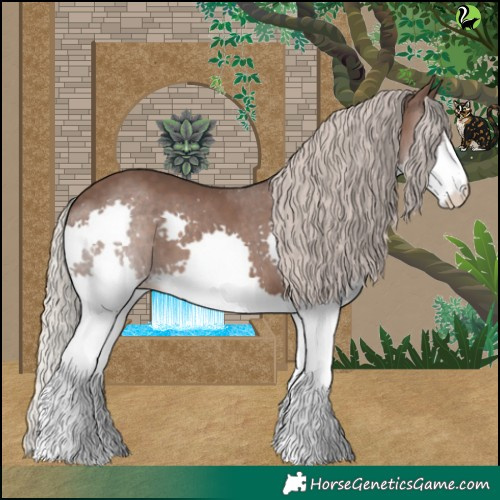Horse Color:Silver Black Splash 
