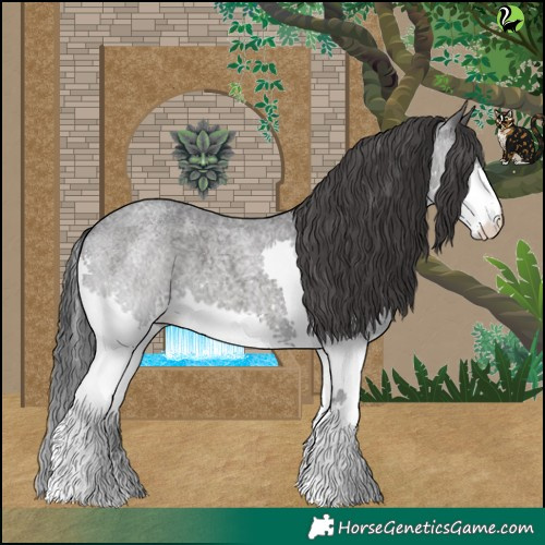 Horse Color:Blue Roan Splash 