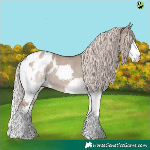 Horse Color:Silver Grullo Splash Appaloosa 