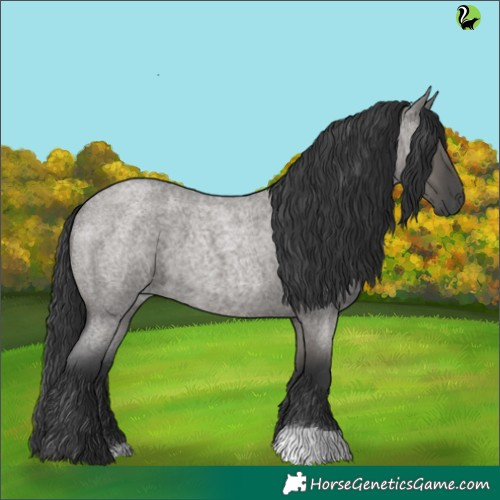 Horse Color:Grullo Roan 