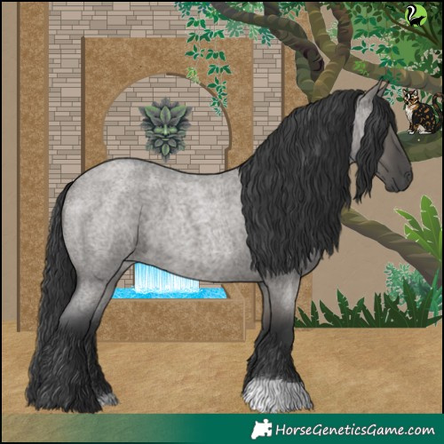 Horse Color:Grullo Roan 