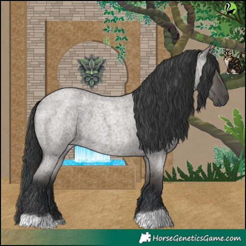 Horse Color:Grullo Roan 