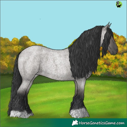 Horse Color:Grullo Roan 