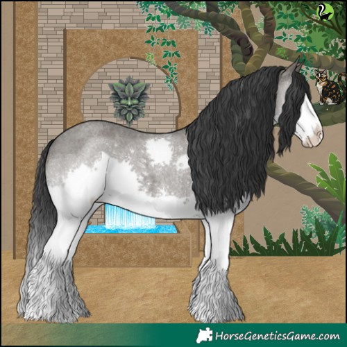 Horse Color:Grullo Roan Splash 