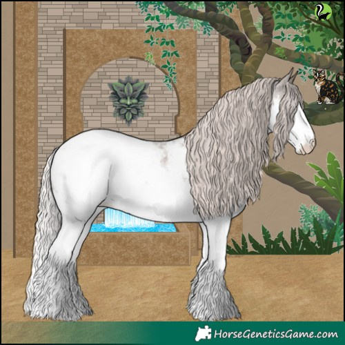 Horse Color:Silver Blue Roan Splash Appaloosa 