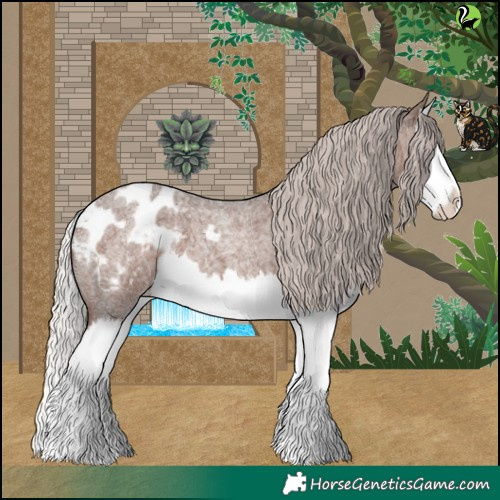 Horse Color:Silver Blue Roan Splash Appaloosa 