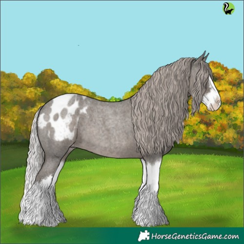 Horse Color:Silver Blue Roan Splash Appaloosa 